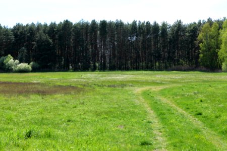Wehrdamm Mellensee Kleiner Wünsdorfer See 2021-05-09 70