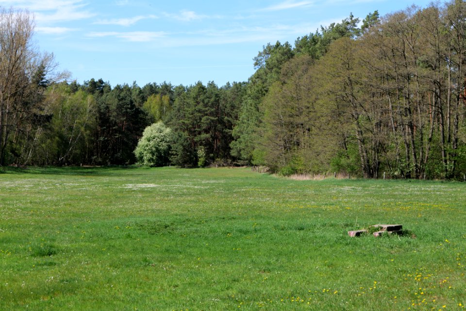 Wehrdamm Mellensee Kleiner Wünsdorfer See 2021-05-09 40