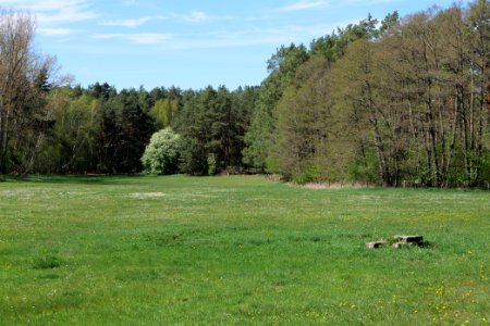 Wehrdamm Mellensee Kleiner Wünsdorfer See 2021-05-09 40