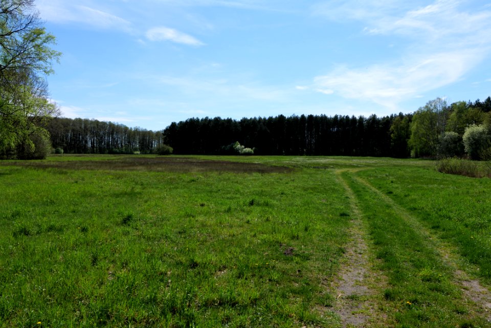Wehrdamm Mellensee Kleiner Wünsdorfer See 2021-05-09 68