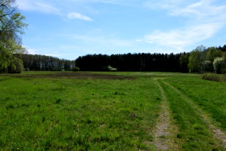 Wehrdamm Mellensee Kleiner Wünsdorfer See 2021-05-09 68