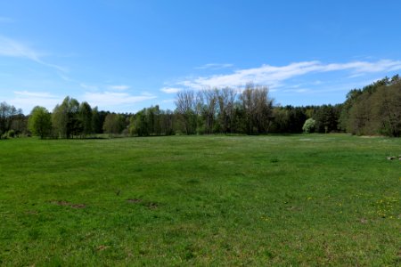 Wehrdamm Mellensee Kleiner Wünsdorfer See 2021-05-09 35