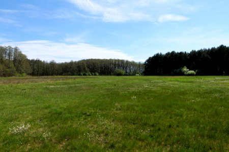 Wehrdamm Mellensee Kleiner Wünsdorfer See 2021-05-09 71