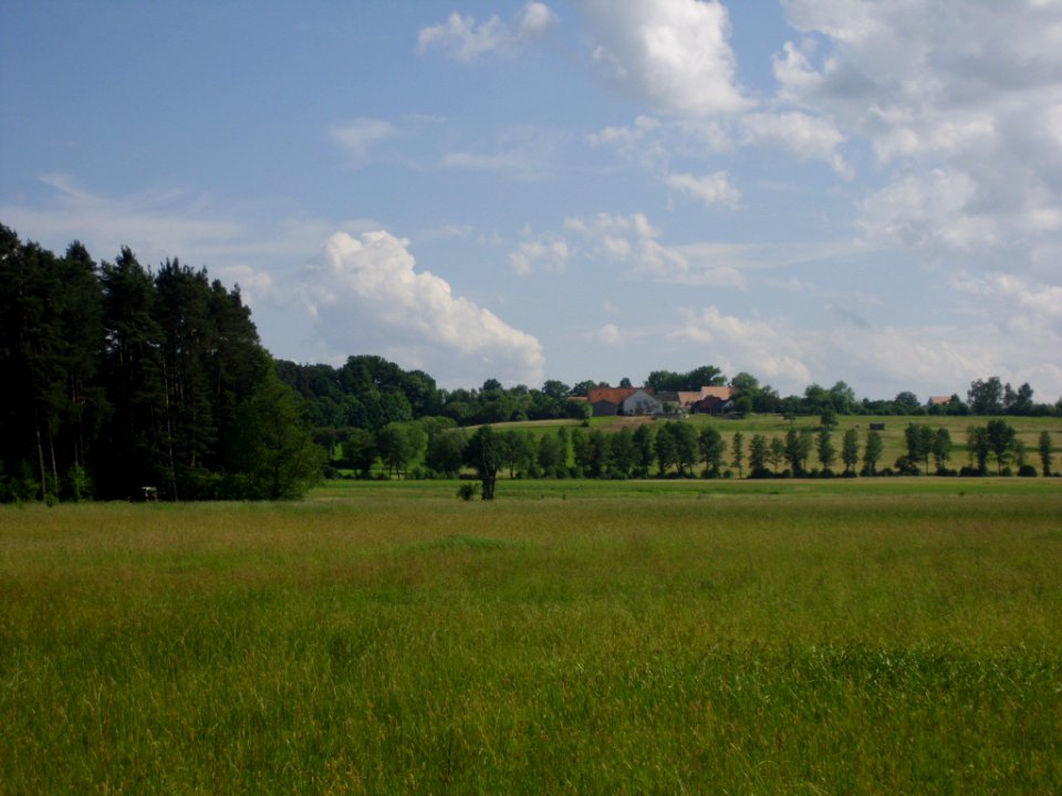 Wehlenberg 2012-06-14