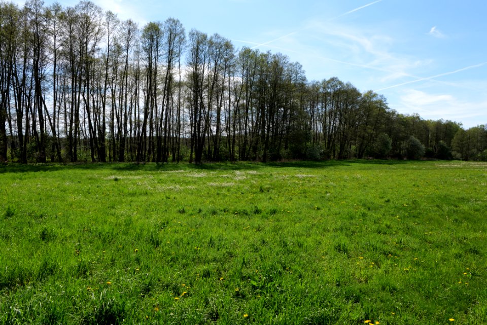 Wehrdamm Mellensee Kleiner Wünsdorfer See 2021-05-09 118