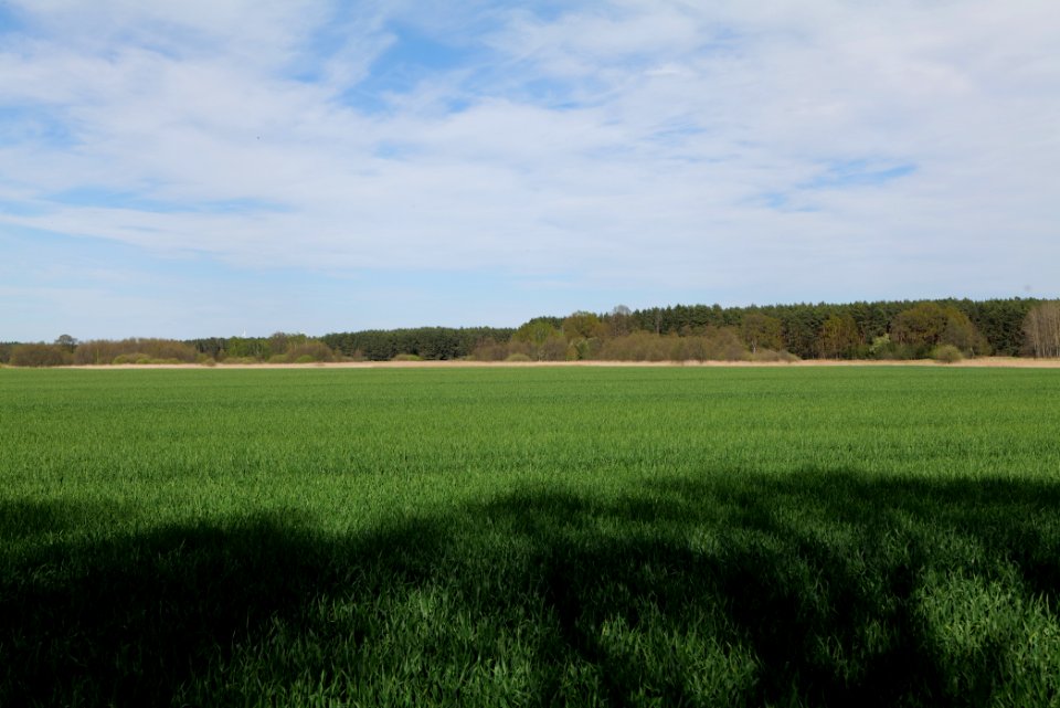 Wehrdamm Mellensee Kleiner Wünsdorfer See 2021-05-09 124