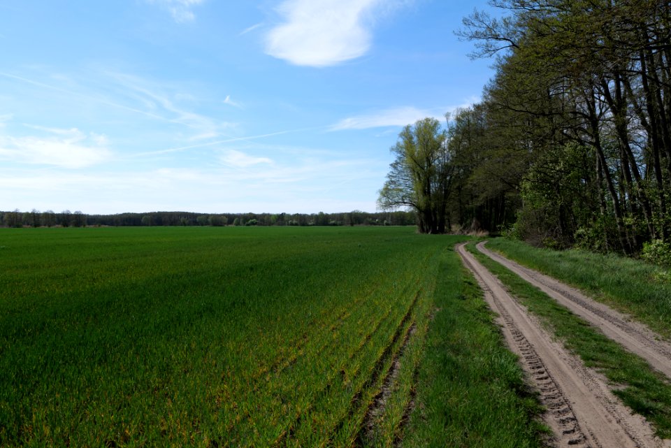 Wehrdamm Mellensee Kleiner Wünsdorfer See 2021-05-09 110