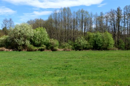 Wehrdamm Mellensee Kleiner Wünsdorfer See 2021-05-09 33