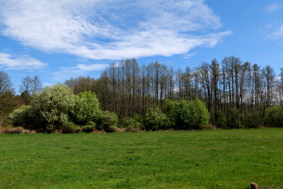 Wehrdamm Mellensee Kleiner Wünsdorfer See 2021-05-09 28