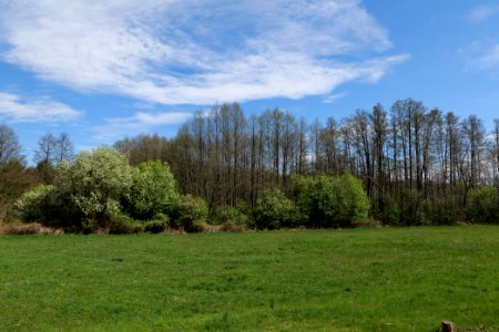Wehrdamm Mellensee Kleiner Wünsdorfer See 2021-05-09 28