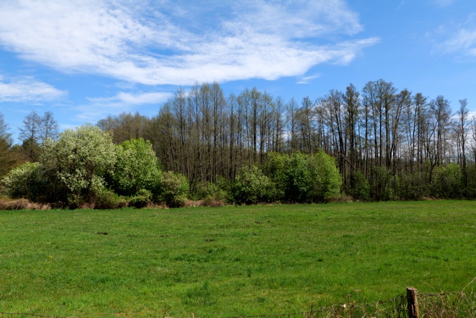 Wehrdamm Mellensee Kleiner Wünsdorfer See 2021-05-09 31