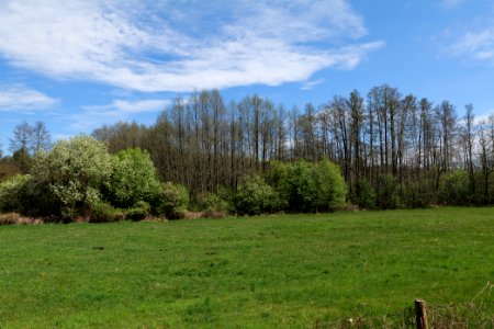 Wehrdamm Mellensee Kleiner Wünsdorfer See 2021-05-09 29