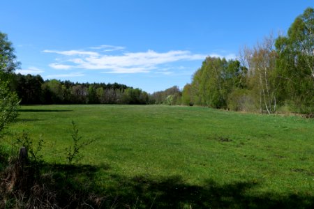 Wehrdamm Mellensee Kleiner Wünsdorfer See 2021-05-09 53