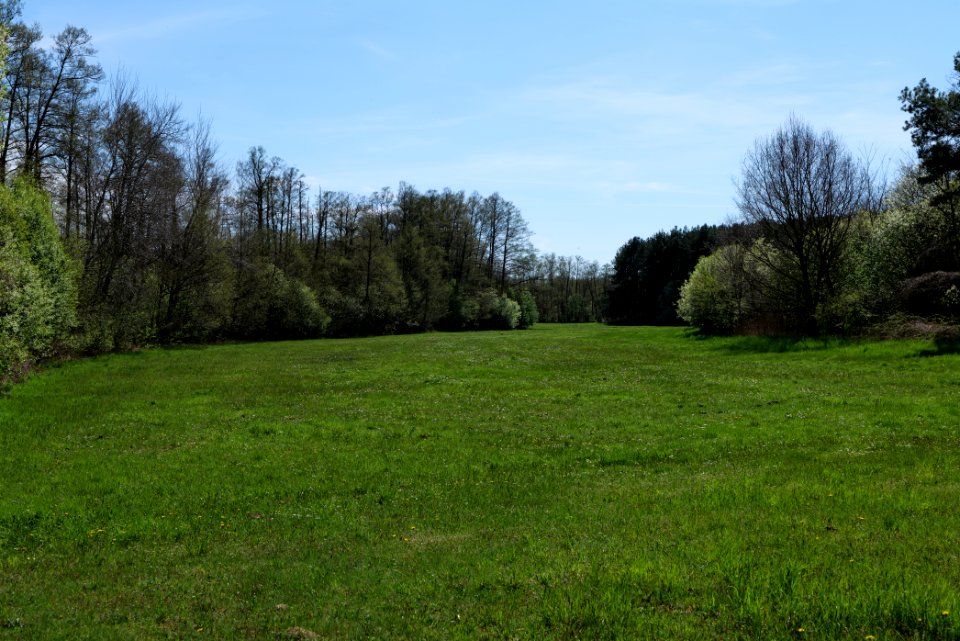 Wehrdamm Mellensee Kleiner Wünsdorfer See 2021-05-09 26