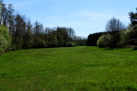 Wehrdamm Mellensee Kleiner Wünsdorfer See 2021-05-09 26