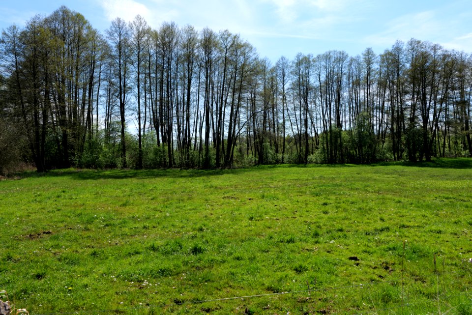 Wehrdamm Mellensee Kleiner Wünsdorfer See 2021-05-09 57