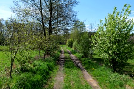 Wehrdamm Mellensee Kleiner Wünsdorfer See 2021-05-09 52