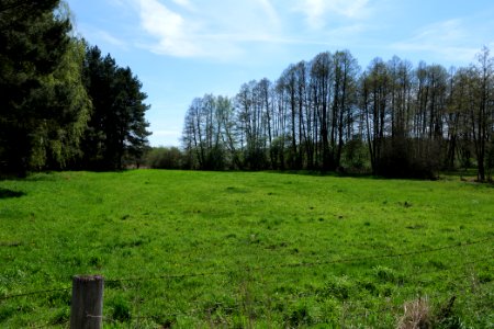 Wehrdamm Mellensee Kleiner Wünsdorfer See 2021-05-09 49