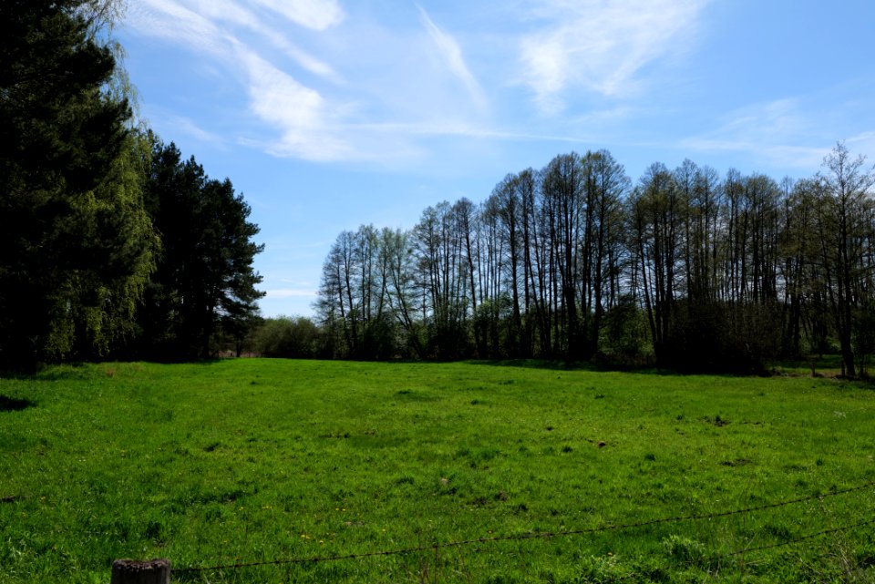 Wehrdamm Mellensee Kleiner Wünsdorfer See 2021-05-09 50