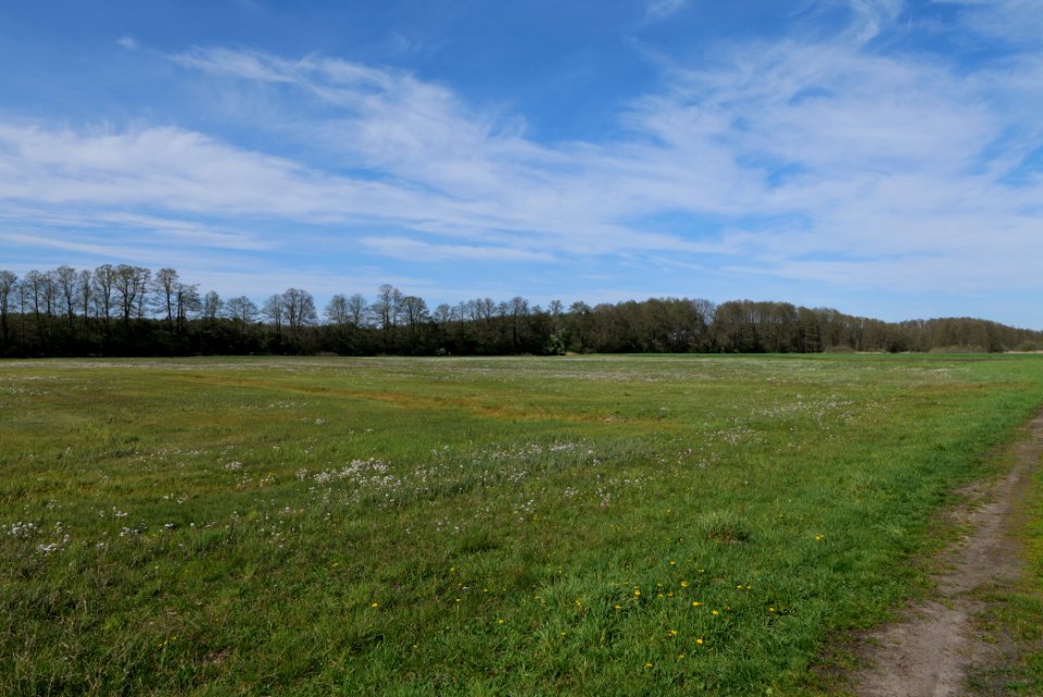 Wehrdamm Mellensee Kleiner Wünsdorfer See 2021-05-09 130