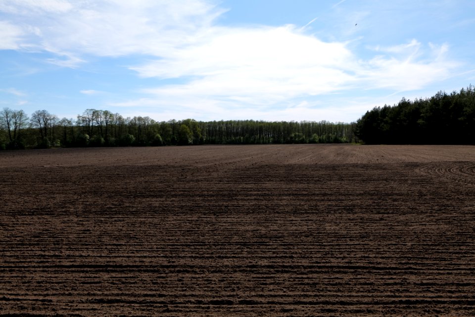 Wehrdamm Mellensee Kleiner Wünsdorfer See 2021-05-09 139