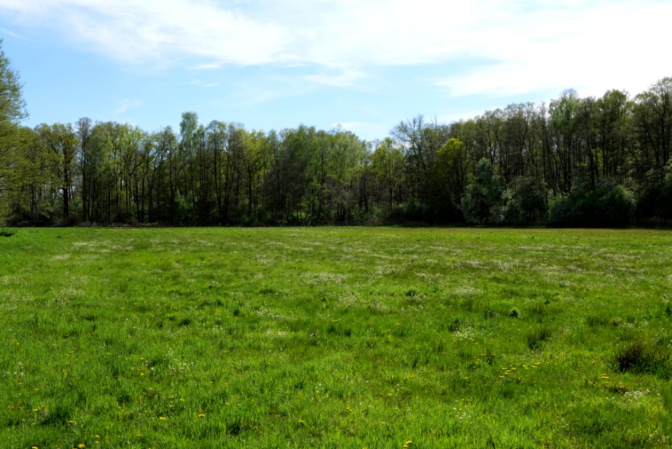 Wehrdamm Mellensee Kleiner Wünsdorfer See 2021-05-09 129