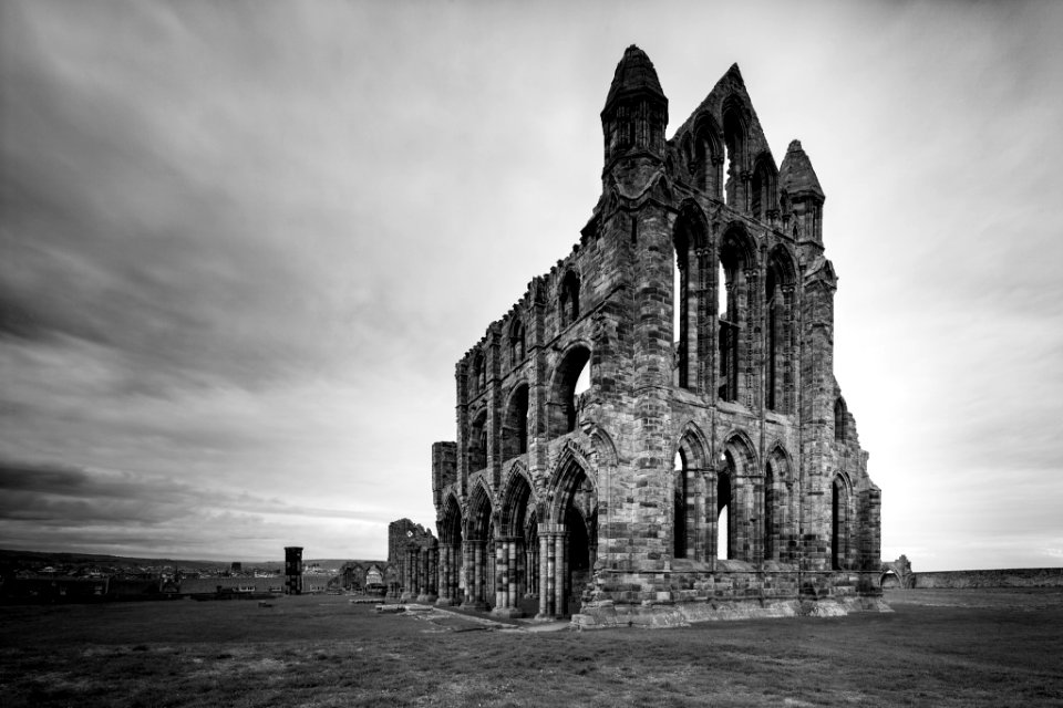 Whitby Abbey (256197327)