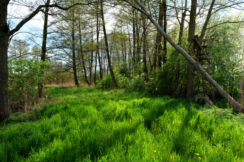 Wehrdamm Mellensee Kleiner Wünsdorfer See 2021-05-09 117