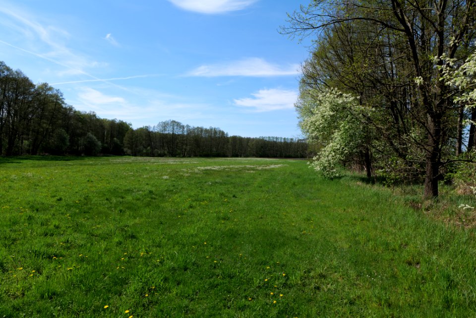 Wehrdamm Mellensee Kleiner Wünsdorfer See 2021-05-09 121