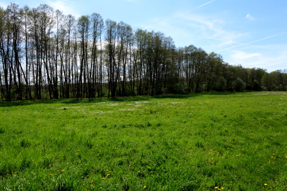 Wehrdamm Mellensee Kleiner Wünsdorfer See 2021-05-09 119