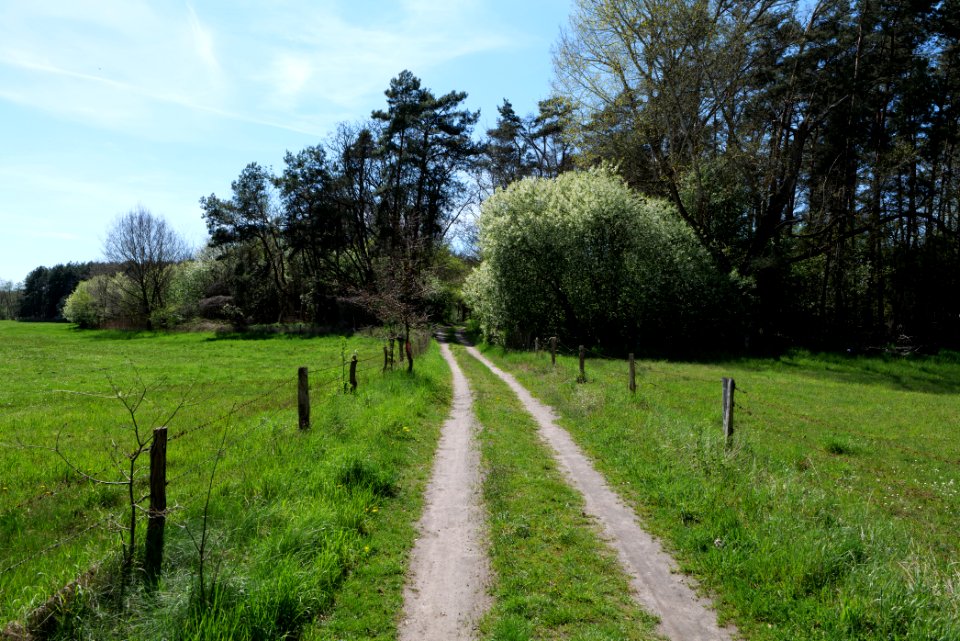 Wehrdamm Mellensee Kleiner Wünsdorfer See 2021-05-09 11