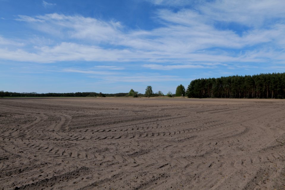 Wehrdamm Mellensee Kleiner Wünsdorfer See 2021-05-09 105