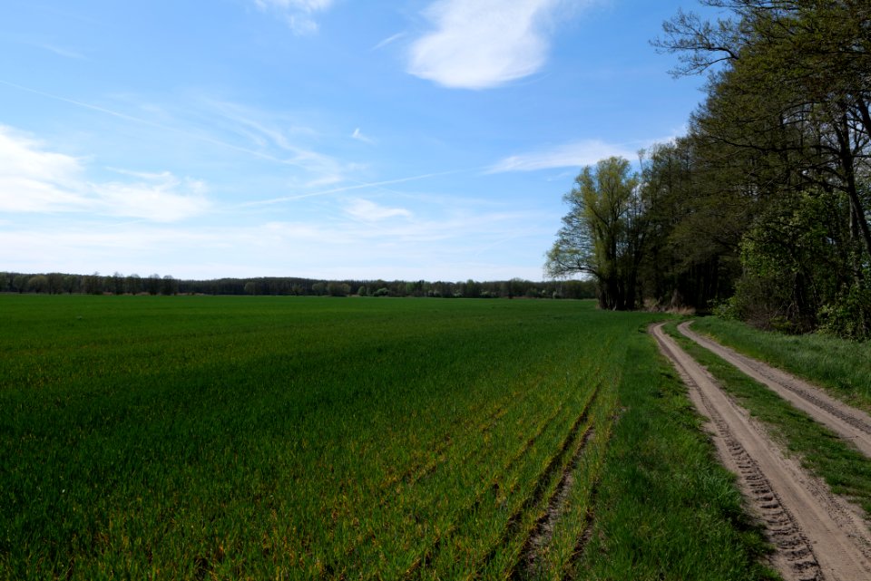 Wehrdamm Mellensee Kleiner Wünsdorfer See 2021-05-09 111