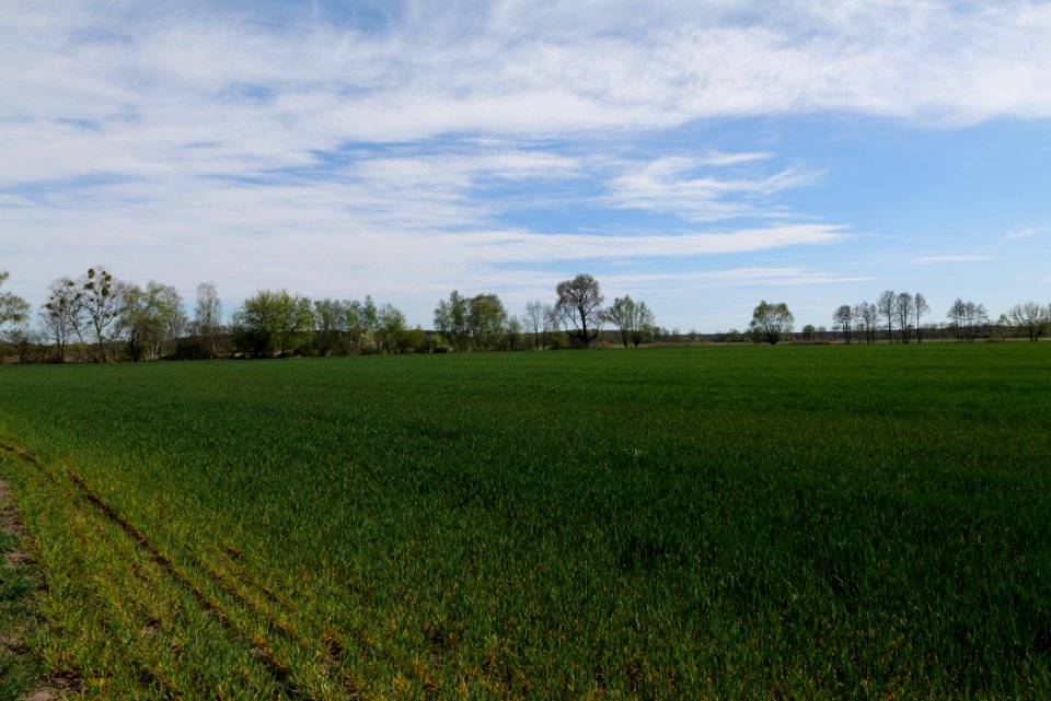 Wehrdamm Mellensee Kleiner Wünsdorfer See 2021-05-09 113