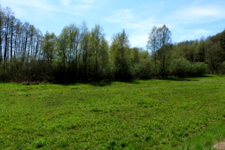 Wehrdamm Mellensee Kleiner Wünsdorfer See 2021-05-09 60