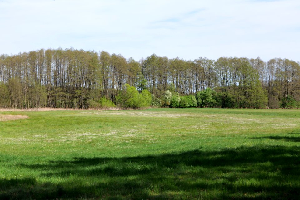 Wehrdamm Mellensee Kleiner Wünsdorfer See 2021-05-09 142