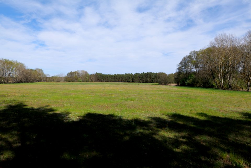 Wehrdamm Mellensee Kleiner Wünsdorfer See 2021-05-09 143