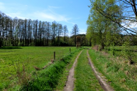 Wehrdamm Mellensee Kleiner Wünsdorfer See 2021-05-09 56