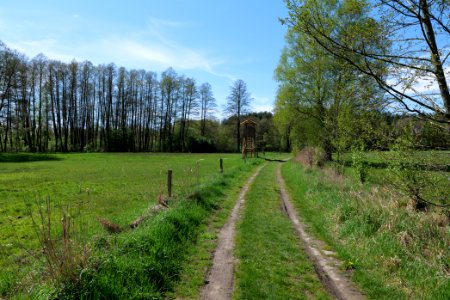 Wehrdamm Mellensee Kleiner Wünsdorfer See 2021-05-09 55