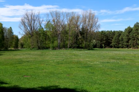 Wehrdamm Mellensee Kleiner Wünsdorfer See 2021-05-09 47