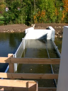 Wehr Willibaldsbrücke Eichstätt -Neubau 2016-10-23 (2)