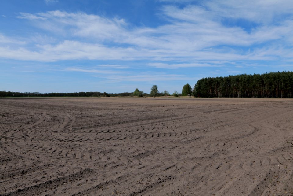 Wehrdamm Mellensee Kleiner Wünsdorfer See 2021-05-09 104