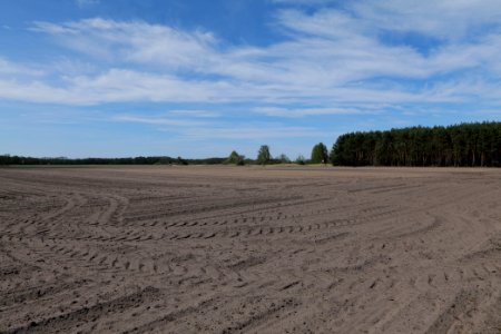 Wehrdamm Mellensee Kleiner Wünsdorfer See 2021-05-09 104