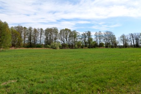 Wehrdamm Mellensee Kleiner Wünsdorfer See 2021-05-09 102