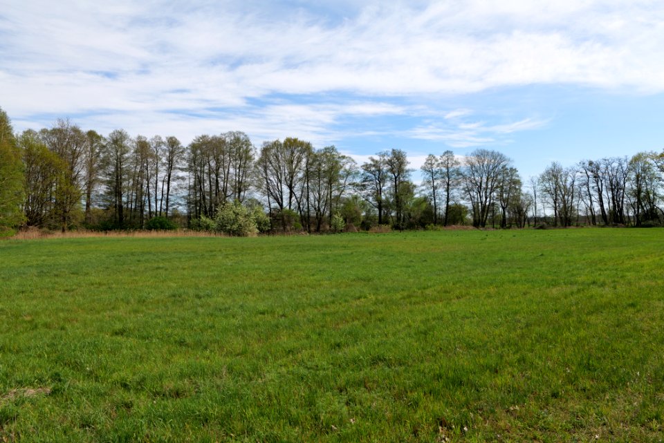 Wehrdamm Mellensee Kleiner Wünsdorfer See 2021-05-09 100