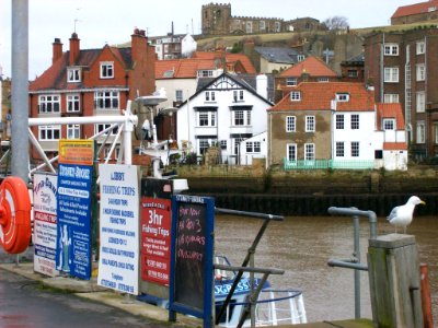 Whitby Harbour, with posters in foreground