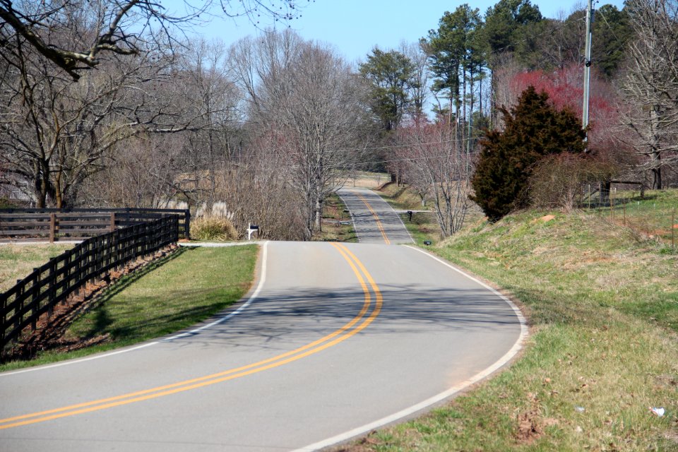 White Pine Crossover, Pickens County, Georgia March 2021