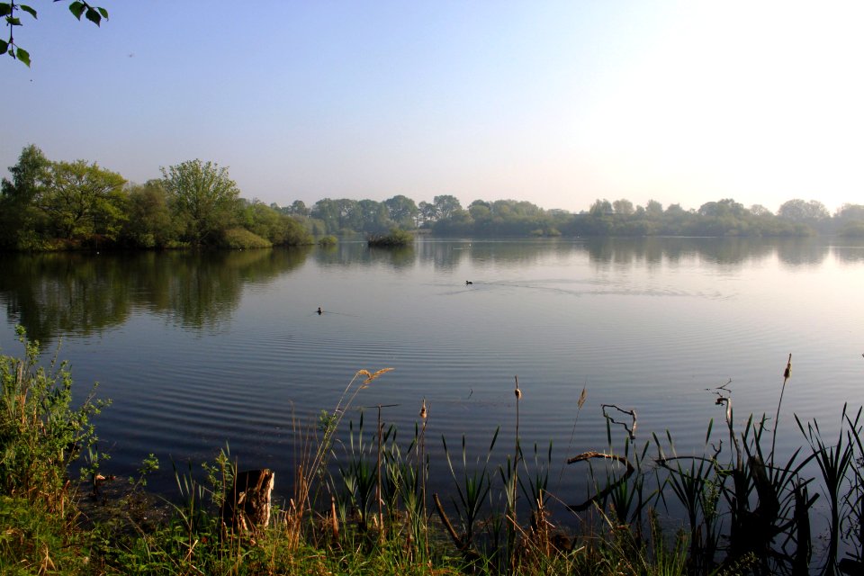 Whisby Nature Park