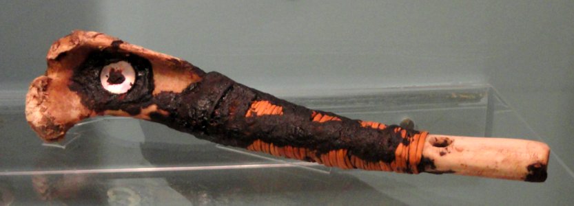 Whistle, Chumash, from Bowers' Cave, collected 1885 - Native American collection - Peabody Museum, Harvard University - DSC05556