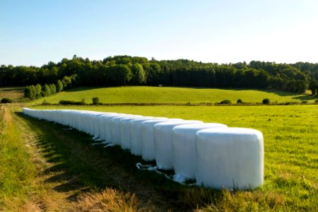 White silage bales in Brastad 3